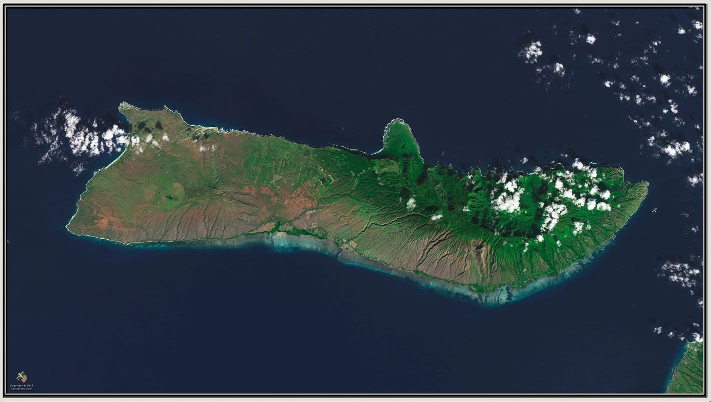 (Molokai Island)